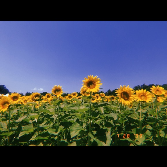 Meet your Posher, Julia - Picture 1 of 1